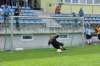 dsc_1247_small.jpg