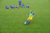 dsc_1318_small.jpg