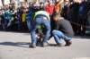 dsc_1162_small.jpg