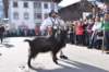 dsc_1172_small.jpg