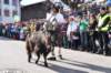 dsc_1177_small.jpg