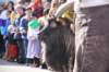 dsc_1183_small.jpg