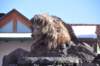 dsc_1580_small.jpg